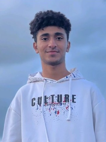 Mohamed Hesham Ahmed Ali El-Sayyad - Vice President